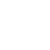 Logo Icon